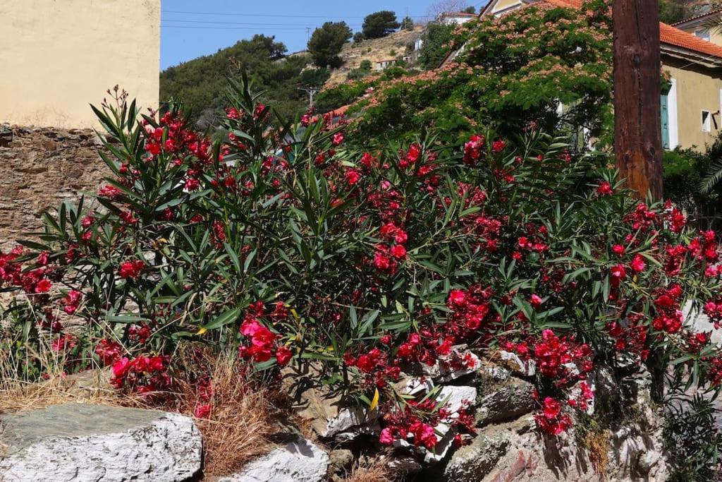 Titinas' Villa Plomari Exteriör bild